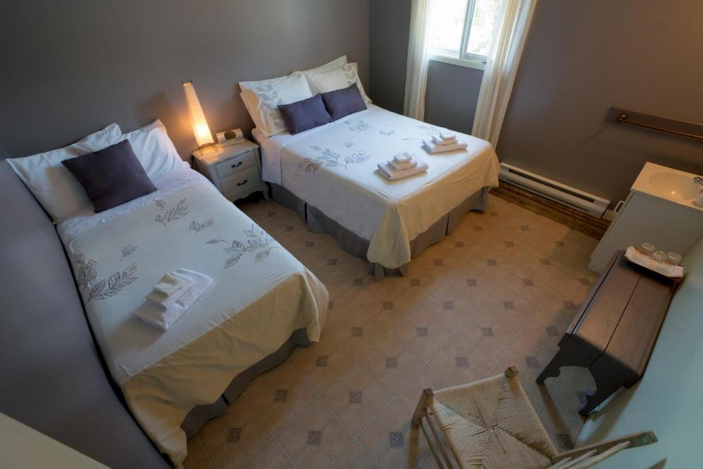 Le Goeland Tadoussac Quarto foto